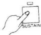 KAWAI KL2 - SUSTAIN - 2