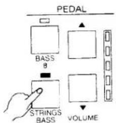 PEDAL BASS 8 STRINGS BASS VOLUME