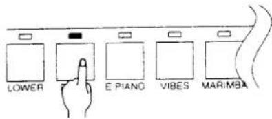 LOWER E. PIANO VIBES MARIMBA