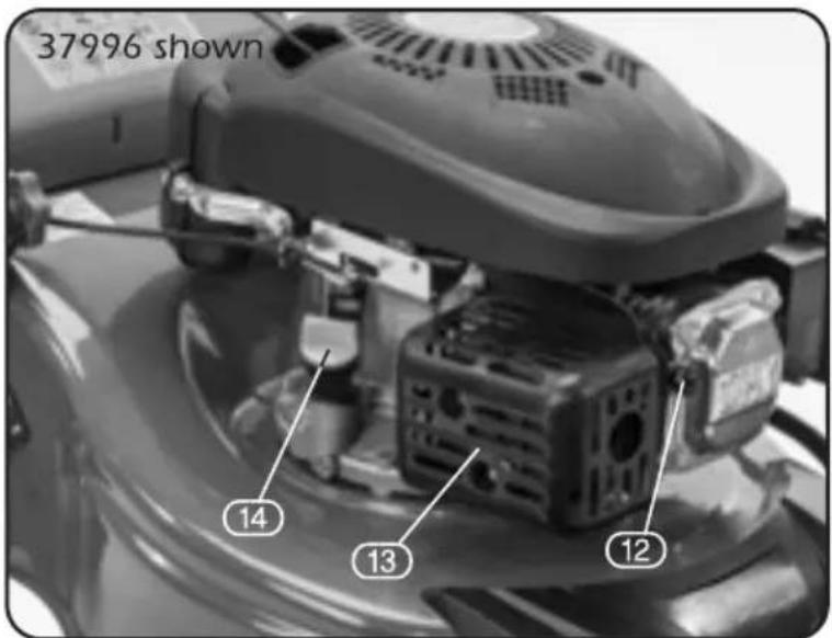 37996 shown 14 13 12