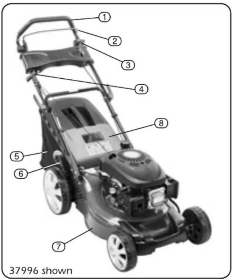 ① ② ③ ④ ⑤ ⑥ ⑦ ⑧ 37996 shown