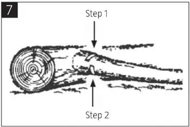 7 Step 1 Step 2