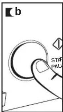 b STAF PAU