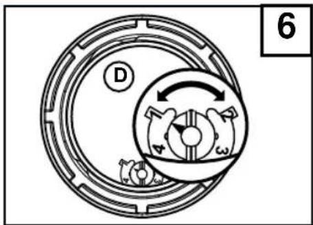 6 D