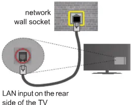 network wall socket LAN input on the rear side of the TV