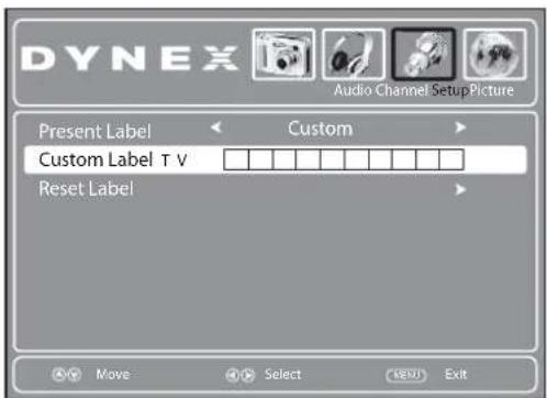 DYNEX Audio Channel Setup Picture Present Label Custom Custom Label T V Reset Label Move Select Exit
