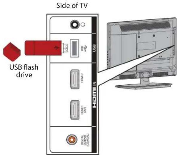 Side of TV USB flash drive HDMI IN HDMI 1 (HIN) HDMI 2 USB DIGITAL (0.000A) KODALU