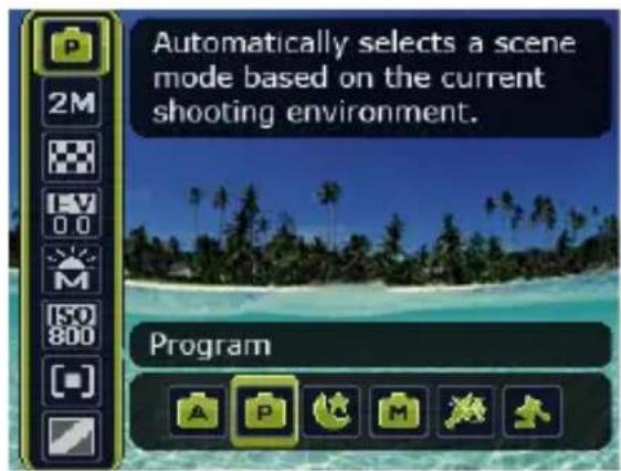 Automatically selects a scene mode based on the current shooting environment. Program
