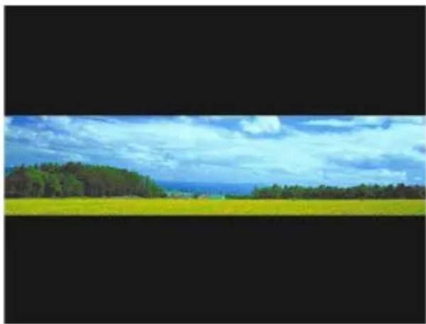 BENQ AE200 - Panorama - 8