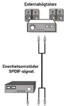 Externahögtalare Enenhetsomstöder SPDIF-signal.