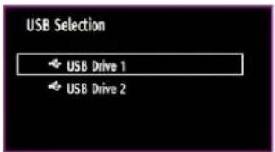 USB Selection USB Drive 1 USB Drive 2