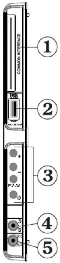 COMMON INTERFACE USB 5Vdc Max: 500mA + - PIV-AV SIDE AV 1 2 3 4 5