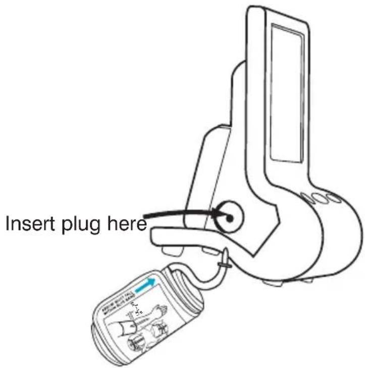 Insert plug here