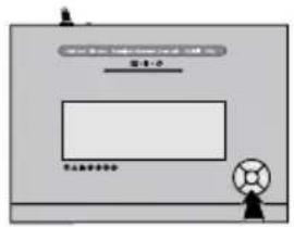 Wallner JP 516C - FORCE RUNNING - 1