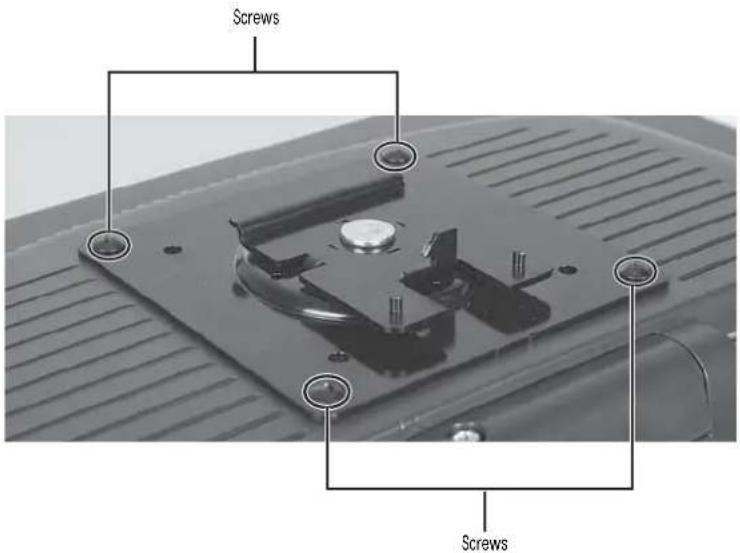 Screws Screws