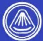 Becken Atlantida DWM5ST - Sal - 4