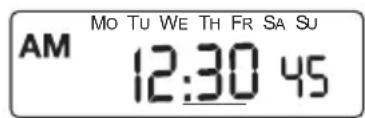 AM Mo Tu We Th Fr Sa Su 12:30 45