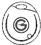 GEMINI 6202 - REMOTE CONTROLS HOMOLOGATION - 1