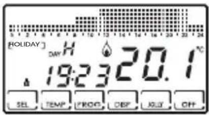 [HOLIDAY] DAY H 19:23 20.1 °C SEL TEMP PROG DEP JULY OFF