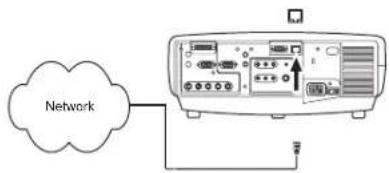 Network