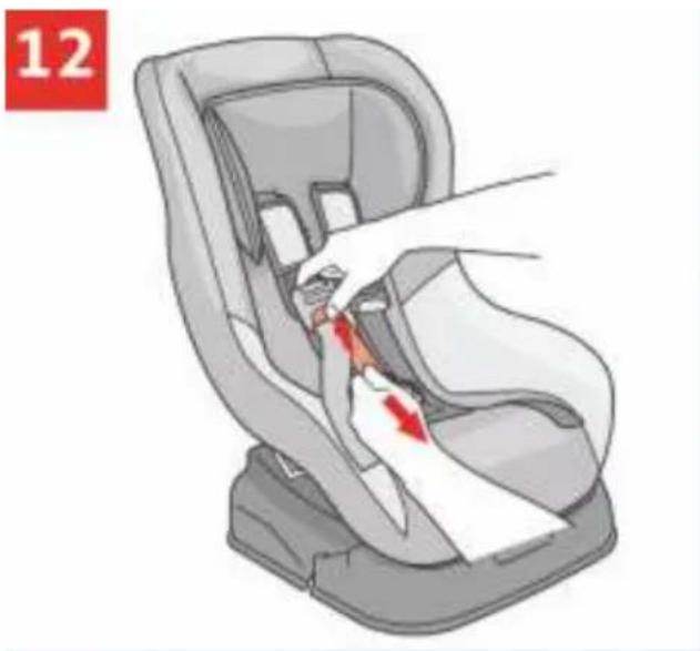 Lorelli Beta Plus - 11