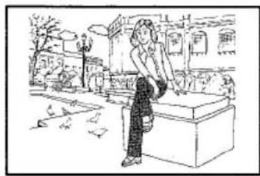 Illustration of a person standing at a desk in an outdoor setting with buildings and birds (no text or symbols)