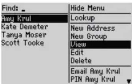Find: _ Amy Krul Kate Demeter Tanya Moser Scott Tooke Hide Menu Lookup New Address New Group View Edit Delete Email Amy Krul PIN Amy Krul