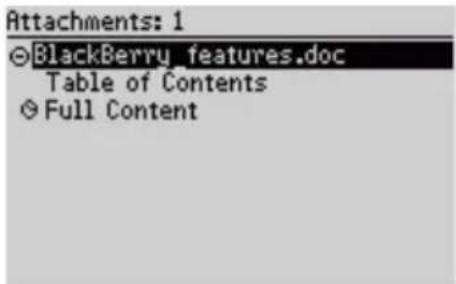 Attachments: 1 ©BlackBerry_features.doc Table of Contents ©Full Content