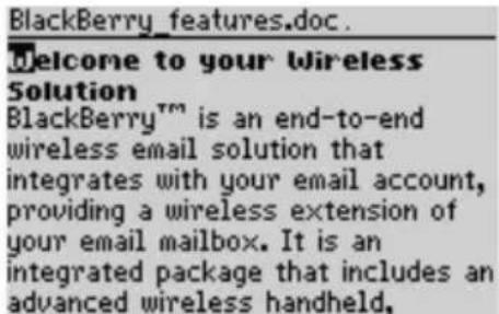 BlackBerry_features.doc. Welcome to your Wireless Solution BlackBerry™ is an end-to-end wireless email solution that integrates with your email account, providing a wireless extension of your email mailbox. It is an integrated package that includes an advanced wireless handheld,