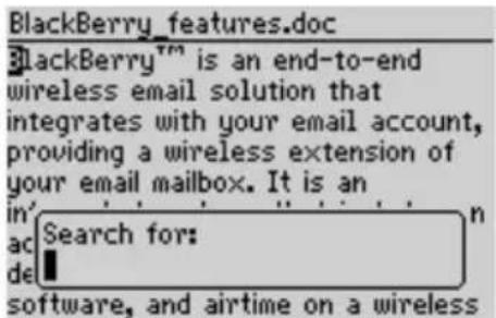 BlackBerry_features.doc BlackBerry™ is an end-to-end wireless email solution that integrates with your email account, providing a wireless extension of your email mailbox. It is an Search for: software, and airtime on a wireless