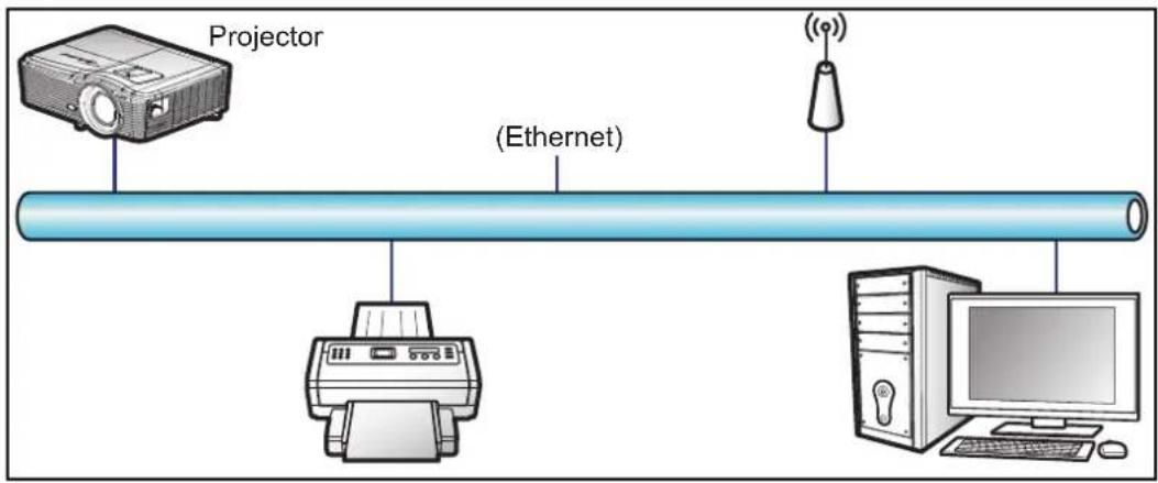 Projector (Ethernet) ((*)