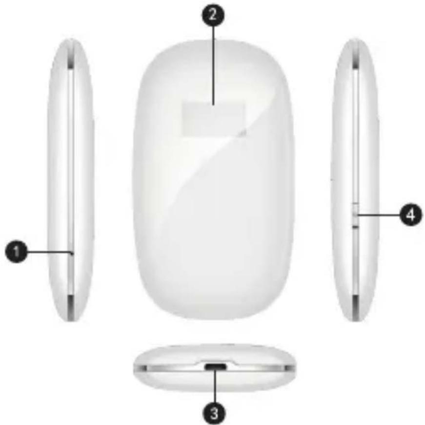 Diagram of a computer mouse with labeled parts including front, side, and top views