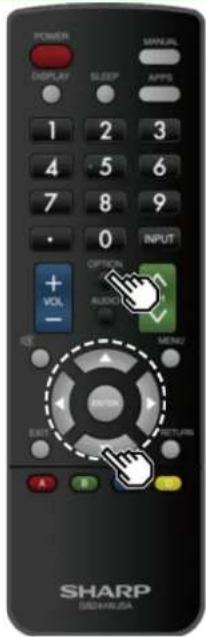 POWER DISPLAY SLEEP 1 2 3 4 5 6 7 8 9 0 INPUT + VOL - OPTION AUDIO MENU EXIT RETURN A B SHARP SHARMA USA