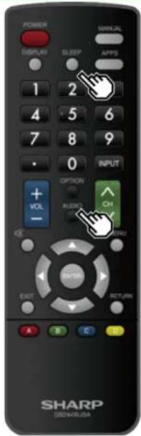 POWER DISPLAY SLEEP 1 2 4 5 6 7 8 9 0 INPUT + VOL - OPTION AUDIO CH MENU EXIT RETURN SHARP DRISHAUSA