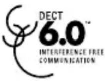GE 28214 - Information for DECT Product - 1