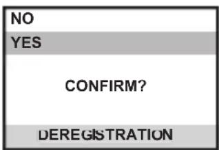 GE 28041 - Deregistration - 2