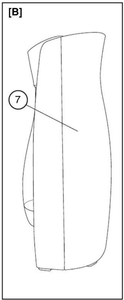 [B] 7