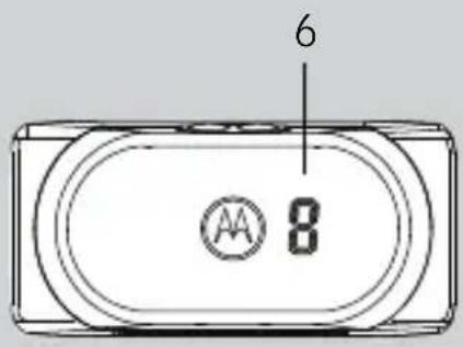 6 8