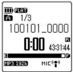 FFLAT A 1/3 100101_0000 0:00 43:31:44 MP3 192k MIC(●)