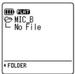FLRT MIC_B No File FOLDER