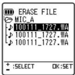 ERASE FILE MIC_A 100111_1727.WA 100111_1727.WA 100111_1727.WA + :SELECT OK:SET