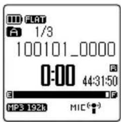 FLAT A 1/3 100101_0000 0:00 44:31:50 E MP3 192k MIC(●)