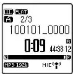 FLAT 2/3 100101_0000 0:09 44:38:12 E MP3 192k MIC(●)