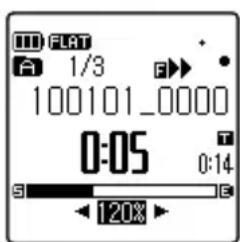FLAT A 1/3 100101_0000 0:05 0:14 S 120x