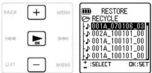 BACK MENU RESTORE RECYCLE 001A_070106_03 002A_100101_00 001A_100101_00 001A_100101_00 001A_100101_00 + :SELECT OK:SET