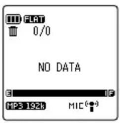 III FLAT III 0/0 NO DATA EI IF MP3 192k MIC(●) MIC(●)
