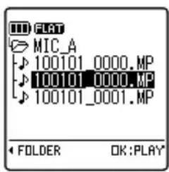 FLAT MIC_A 100101_0000.MP 100101_0000.MP 100101_0001.MP FOLDER OK:PLAY*