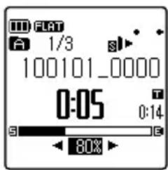 1/3 100101_0000 0:05 0:14 80%