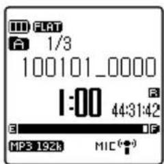 FLAT A 1/3 100101_0000 I:00 44:31:42 E MP3 192k MIC(●)