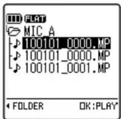 FLAT MIC A 100101_0000.MP 100101_0000.MP 100101_0001.MP FOLDER OK:PLAY*